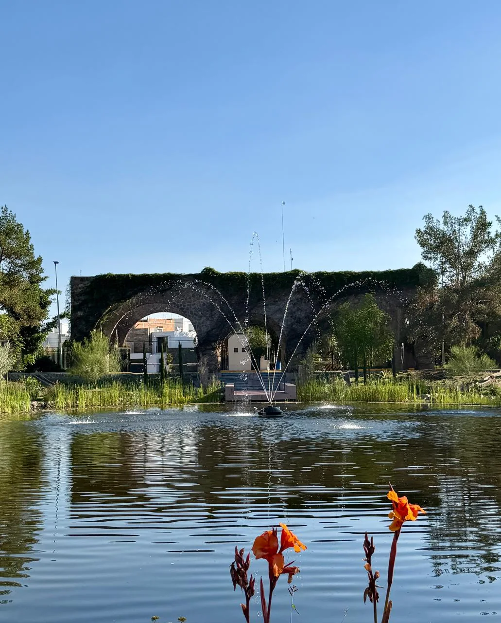 Lago con vegetación, reflejos y arcos al fondo.